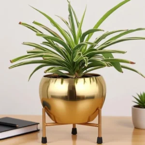 Audace Metal Table Top Planter with Gold Finish